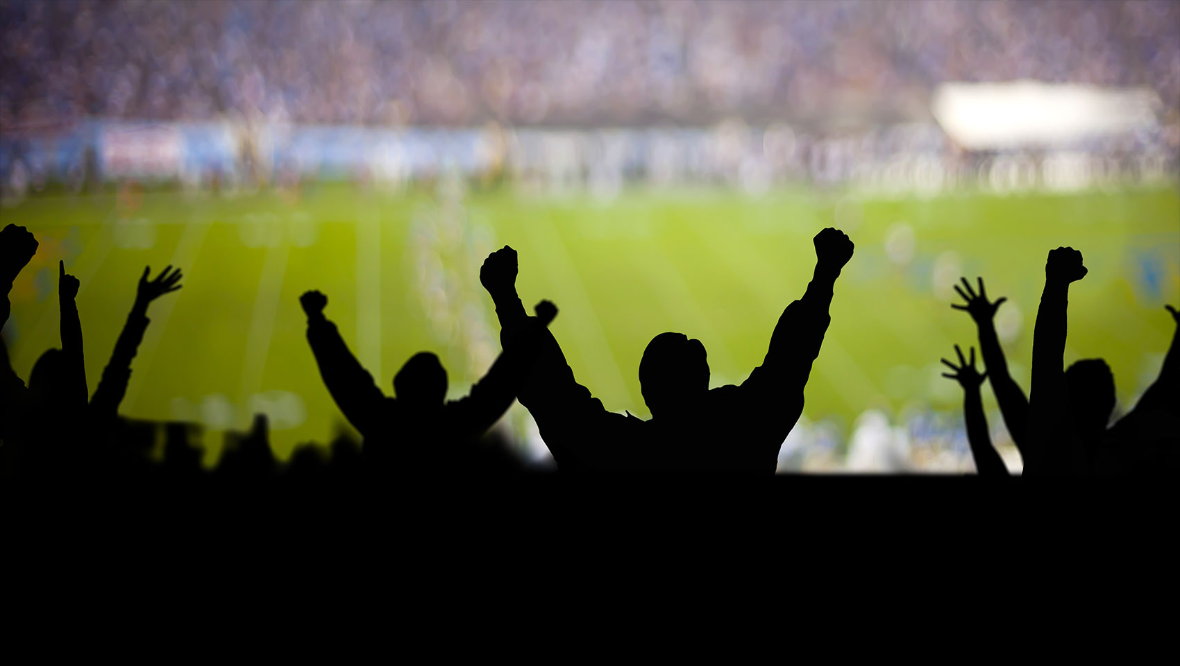 fans cheering at sporting event