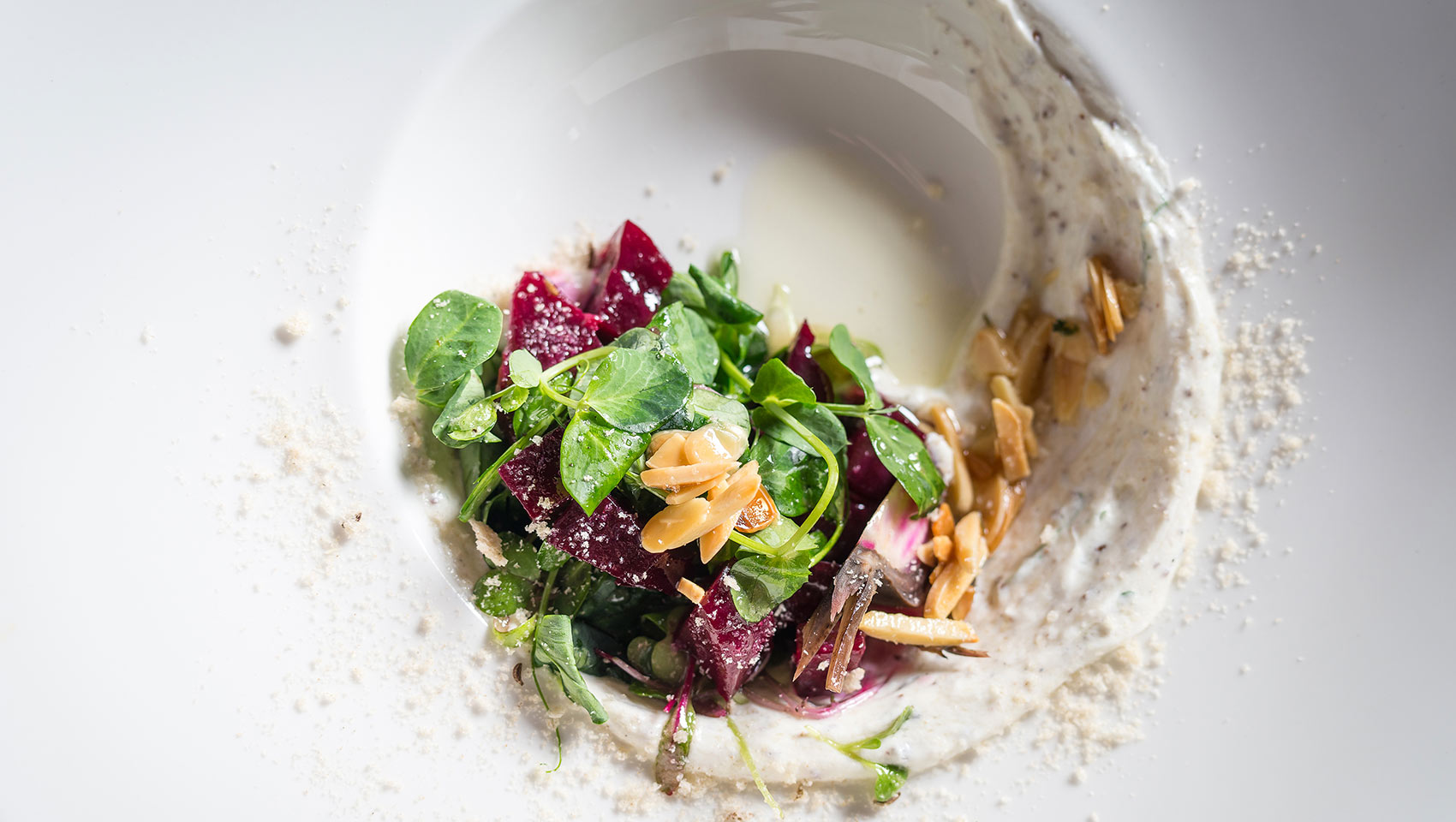 Dish from Square 1682